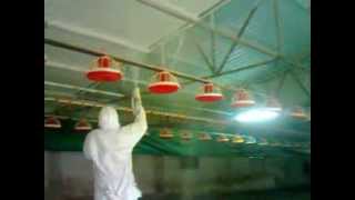 0535 989 76 28 SPREYX / TAVUK ÇİFTLİĞİ YALITIM İZOLASYON SPREY POLİÜRETAN KÖPÜK UYGULAMA VİDEO