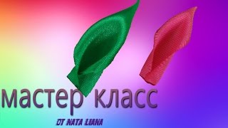 2в1 . Лепесток и листик из ленты.  Канзаши. Мастер класс от Nata Liana.