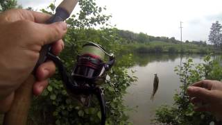 Ультралайт. Ловля карпа и карася на микроджиг. Рыболовецкая база" FISHING PARK"
