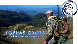 ГОРНАЯ ОХОТА НА КАМЧАТСКОГО БАРАНА (Mountain hunting in Kamchatka)