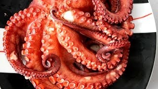 Как правильно и вкусно приготовить  Осьминога.