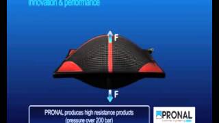 DISCOVER PRONAL COMPANY : Know-how, products...