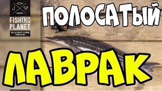 Fishing Planet прохождение | Полосатый Лаврак на воблер | Калифорния, Дельта Сан-Хоакин