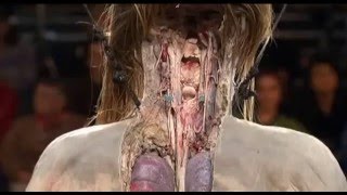 Anatomy for Beginners - Lesson 3: Digestion