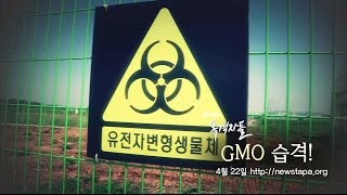 목격자들 54회 예고 "GMO 습격!"