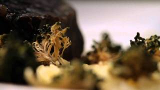 Climate Dish - Germanwatch and Bread for the World