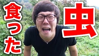【閲覧注意】虫食べちまった！巨大毒クモ紹介！