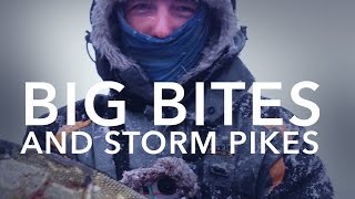 Big Bites and storm Pikes & Pig Shad Jr. (With English subtitles!)