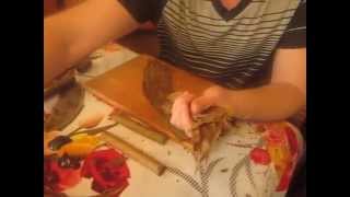 Как делают сигары на Ставрополье.(How do cigars in Russia)