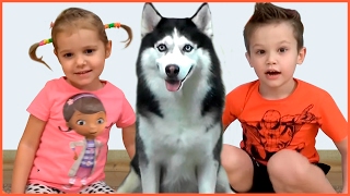 УГАДАЙ БЛОГЕРА ПО ПИТОМЦУ Челлендж Miss Katy, Little Miss Sofia от Romka TV