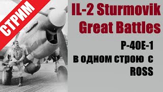 IL-2 Sturmovik Great Battles лечу на Р-40 с РОССами