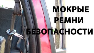 МОКРЫЙ РЕМЕНЬ БЕЗОПАСНОСТИ В САЛОНЕ ПАССАТ Б3 Б4
