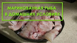 Маринованная рыба в домашних условиях (толстолобик, карп, скумбрия, селедь). Рецепт приготовления