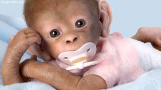 "Coco" Lifelike Baby Monkey Doll by Ashton Drake