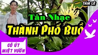 Em Trai Miệt Vườn hát vui THÀNH PHỐ BUỒN Tân Nhạc | Nghe | Bài Hát