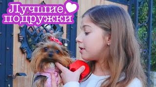 Подружка Полен на прогулке. Видео обзор онлайн.
