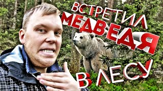 Как Финны Тренируют охотничьих собак. Встретил медведя в лесу.