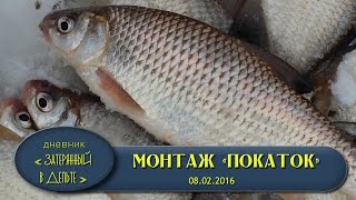 Зимняя рыбалка в Астрахани на Волге. Как ловить воблу видео