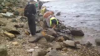 Счастливые дети ловят крабов на берегу Амурского залива 22 сентября 2017.