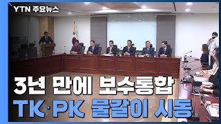 '미래통합당' 3년 만에 보수통합...TK·PK 물갈이 시동 / YTN