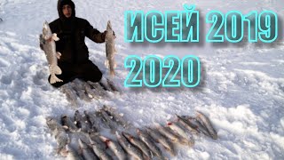 Рыбалка, Казахстан, заповедник Коргалжин, озеро Исей, декабрь 2019.