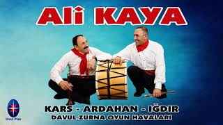 Doğu Anadolu Davul Zurna Halayları (46 Dk Kesintisiz) - Düğün İçin Süper Oyun Havaları