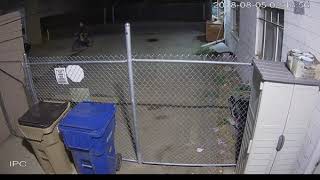 Longmont Police Seek Suspect in 42 Tire Slashings