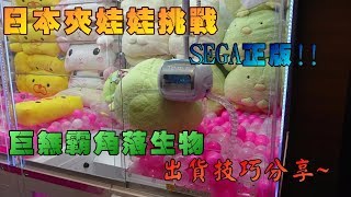 『狸蹦雲遊』巨無霸角落生物我來了~！挑戰日本巨無霸機臺！│日本夾娃娃1 │UFO CATCHER