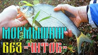 МОРМЫШИНГ БЕЗ ЧИТОВ РЫБАЛКА 2019!