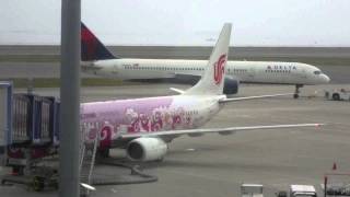 2009/07/30 中国国際航空 929便 / Air China 929