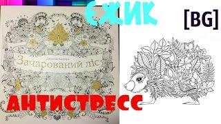 Зачарованный лес / Раскраска-антистресс / Ежик /
