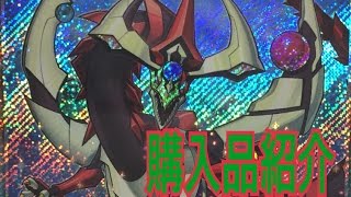 《遊戯王》購入品紹介！ゴージャスな英語版カード‼︎