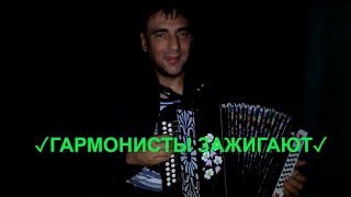 Гармонист играет Хорошие песни