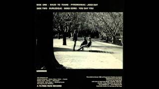 The Verlaines - Baud To Tears