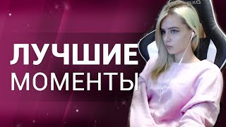 Лучшие моменты с Twitch / Поймал осу на стриме / Ковбоич упал с лошади