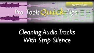 Cleaning Audio Tracks With Strip Silence