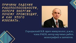 Городиский Богдан Владимирович.