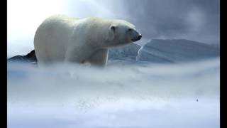 Extinciones en masa (Mass Extinctions)