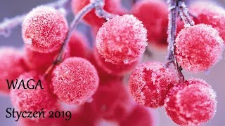 WAGA  -  czytanie ogólne na Styczeń 2019