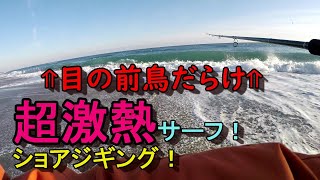 真冬の激熱サーフジギング！令和元年最終動画　皆様今年もありがとうございました！