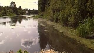 Лодки, катера, болотоходы, моторы Bawad, производство, охота, рыбалка.