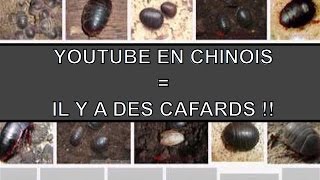 Comment Un Chinois Prononce YouTube?? ?