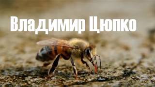 Супер броня для маточников, деление семьи на пол лета 2 часть...