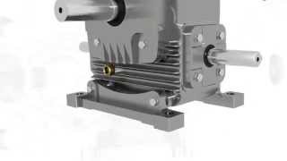 Worm Gearbox, Worm Reduction Gear Box, Worm Speed Reducer and Gear Motor Manufacturer