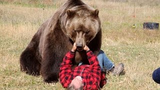 Медведь Загрыз Человека (Страшная Аудиозапись)