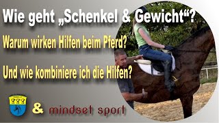 Reiten lernen - So wirken Schenkel- und Gewichtshilfen