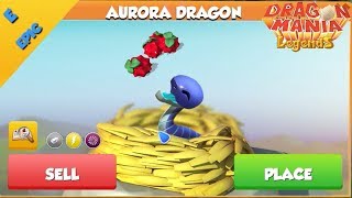 Epic Aurora Dragon - Dragon Mania Legends | Part 1070 HD