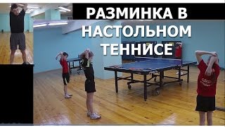 Разминка в НАСТОЛЬНОМ ТЕННИСЕ (Техника проведения разминки настольный теннис)