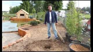 Плетистые розы. Розовое настроение. Выпуск 5
