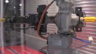 Lizarte en Automechanika Frankfurt 2014